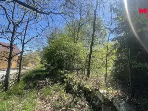 Prodej pozemku pro bydlení, Blatná - Čekanice, 3556 m2