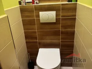 Pronájem bytu 2+1, Opava - Předměstí, Olomoucká, 50 m2