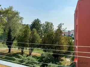 Prodej bytu 2+1, Bučovice, Vyškovská, 55 m2