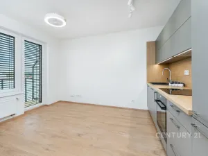 Prodej bytu 1+kk, Praha, 28 m2