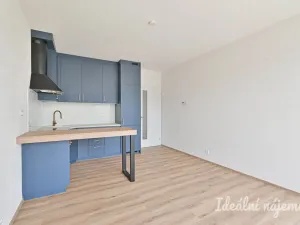 Pronájem bytu 2+kk, Brno, Rybářská, 52 m2