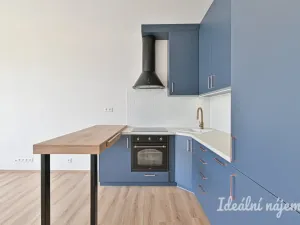 Pronájem bytu 2+kk, Brno, Rybářská, 52 m2
