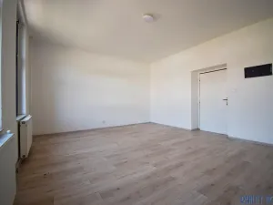 Pronájem bytu 1+1, Ústí nad Labem - Krásné Březno, Drážďanská, 42 m2