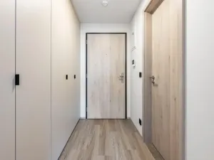 Pronájem bytu 1+kk, Praha - Hlubočepy, Na Zlíchově, 26 m2