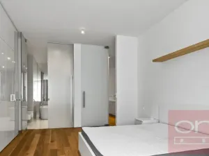 Pronájem bytu 3+kk, Praha - Vinohrady, Laubova, 109 m2