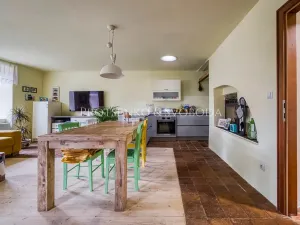 Prodej vícegeneračního domu, Pavlov, 354 m2