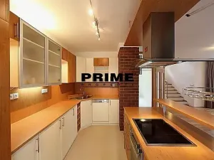 Pronájem rodinného domu, Praha - Veleslavín, Nad hradním potokem, 350 m2