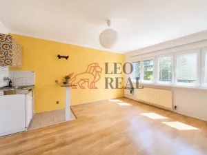 Pronájem bytu 1+kk, Praha - Strašnice, Kounická, 24 m2