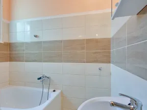 Pronájem bytu 1+1, Olomouc, Krakovská, 43 m2