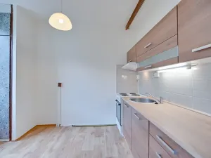 Pronájem bytu 1+1, Olomouc, Lazecká, 33 m2