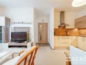 Pronájem bytu 2+kk, Brno, Kartouzská, 45 m2