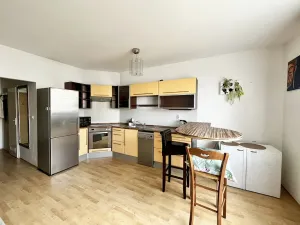 Prodej bytu 1+kk, České Budějovice - České Budějovice 2, Spojovací, 35 m2