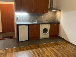 Pronájem bytu 1+kk, Praha - Vysočany, Freyova, 20 m2