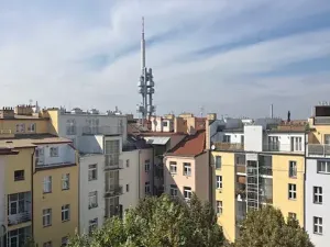 Pronájem bytu 3+kk, Praha - Žižkov, Vinohradská, 90 m2