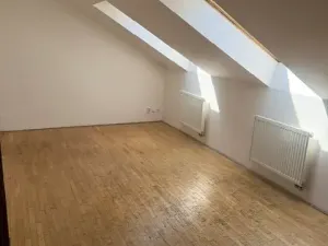 Prodej bytu 3+kk, Praha - Nové Město, Jungmannova, 140 m2