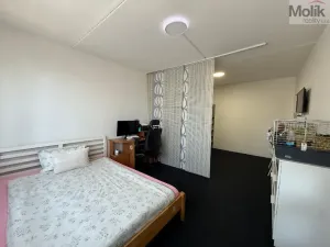 Pronájem bytu 2+1, Bílina - Teplické Předměstí, Sídliště Za Chlumem, 65 m2