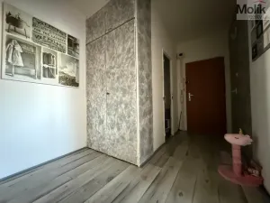 Pronájem bytu 2+1, Bílina - Teplické Předměstí, Sídliště Za Chlumem, 65 m2