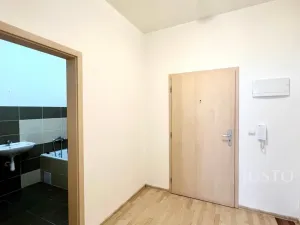 Pronájem bytu 1+kk, Hrádek nad Nisou, Starý Dvůr, 29 m2