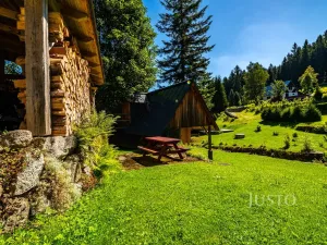 Prodej ubytování, Josefův Důl - Karlov, 430 m2