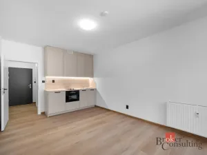Pronájem bytu 1+kk, Brno - Zábrdovice, Bratislavská, 26 m2