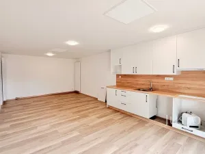 Pronájem rodinného domu, Liberec - Liberec IV-Perštýn, U Krematoria, 210 m2