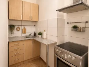Pronájem bytu 1+kk, Liberec - Liberec XIV-Ruprechtice, Ostravská, 29 m2