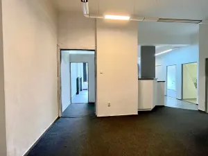 Pronájem bytu 3+1, Brno, náměstí Svobody, 98 m2
