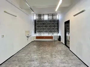 Pronájem bytu 3+1, Brno, náměstí Svobody, 98 m2
