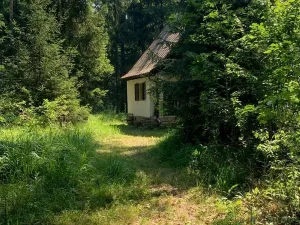 Prodej chaty, Holice - Podlesí, 75 m2
