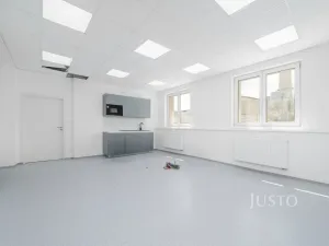Pronájem ordinace, Liberec - Liberec IV-Perštýn, Dr. Milady Horákové, 30 m2