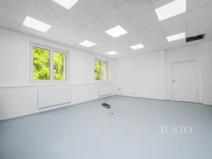 Pronájem ordinace, Liberec - Liberec IV-Perštýn, Dr. Milady Horákové, 30 m2
