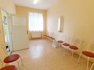 Prodej vily, Hostouň, Petra Bezruče, 320 m2