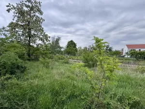 Prodej pozemku, Jevišovka, Nádražní, 750 m2