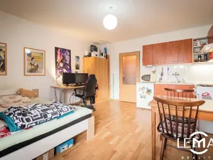 Pronájem bytu 1+kk, Olomouc, Kollárovo nám., 32 m2