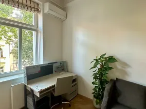 Pronájem bytu 5+kk, Praha - Vinohrady, Třebízského, 180 m2