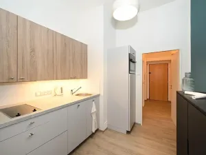 Pronájem bytu 1+1, Praha - Vršovice, Moskevská, 36 m2
