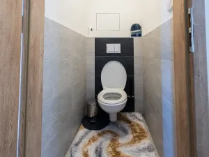 Prodej bytu 2+kk, Mladá Boleslav - Mladá Boleslav II, 17. listopadu, 55 m2