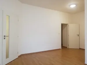 Pronájem bytu 2+1, Praha - Bubeneč, U zeměpisného ústavu, 45 m2