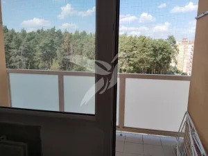 Pronájem bytu 1+1, Plzeň, Tachovská, 38 m2