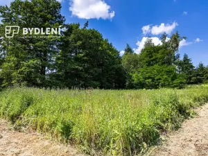 Prodej pozemku pro bydlení, Velemín, 5381 m2