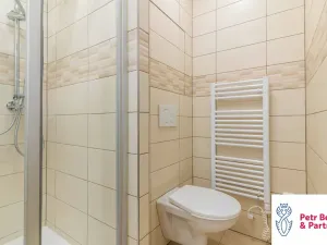 Pronájem bytu 3+kk, Rakovník, V Jamce, 63 m2