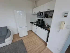 Pronájem bytu 1+kk, Hradec Králové, Na Pastvinách, 35 m2