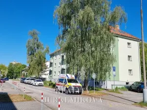 Prodej bytu 2+1, České Budějovice, Zachariášova, 54 m2