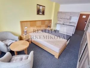 Prodej bytu 1+kk, Frymburk, 30 m2