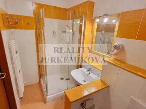 Prodej bytu 1+kk, Frymburk, 30 m2