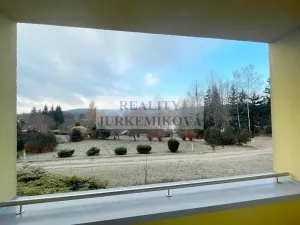 Prodej bytu 1+kk, Frymburk, 30 m2