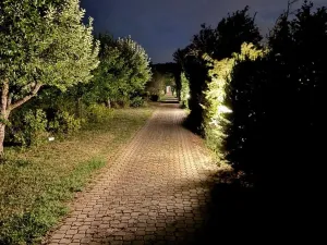 Prodej rodinného domu, Tetčice, Sušilova, 140 m2