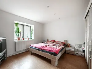 Prodej vícegeneračního domu, Nová Ves, 200 m2