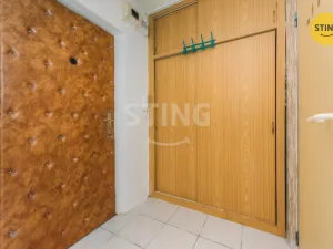 Prodej bytu 1+kk, Pardubice, Brožíkova, 37 m2
