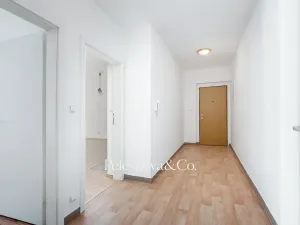 Prodej bytu 2+kk, Dolní Břežany, Za Sídlištěm, 58 m2